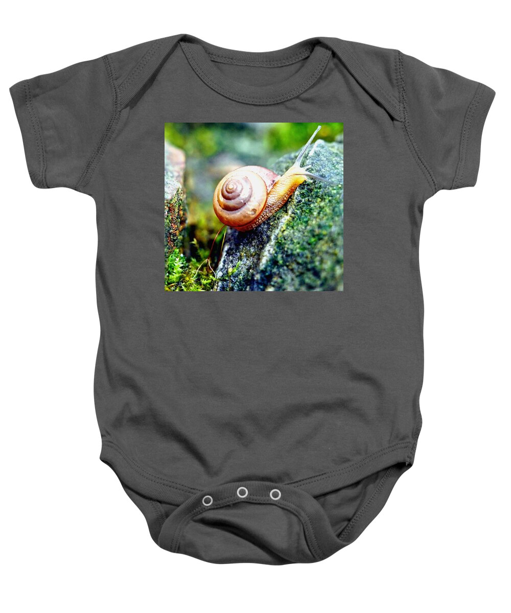 Nature Baby Onesie featuring the photograph Garden Snail by Amy McDaniel