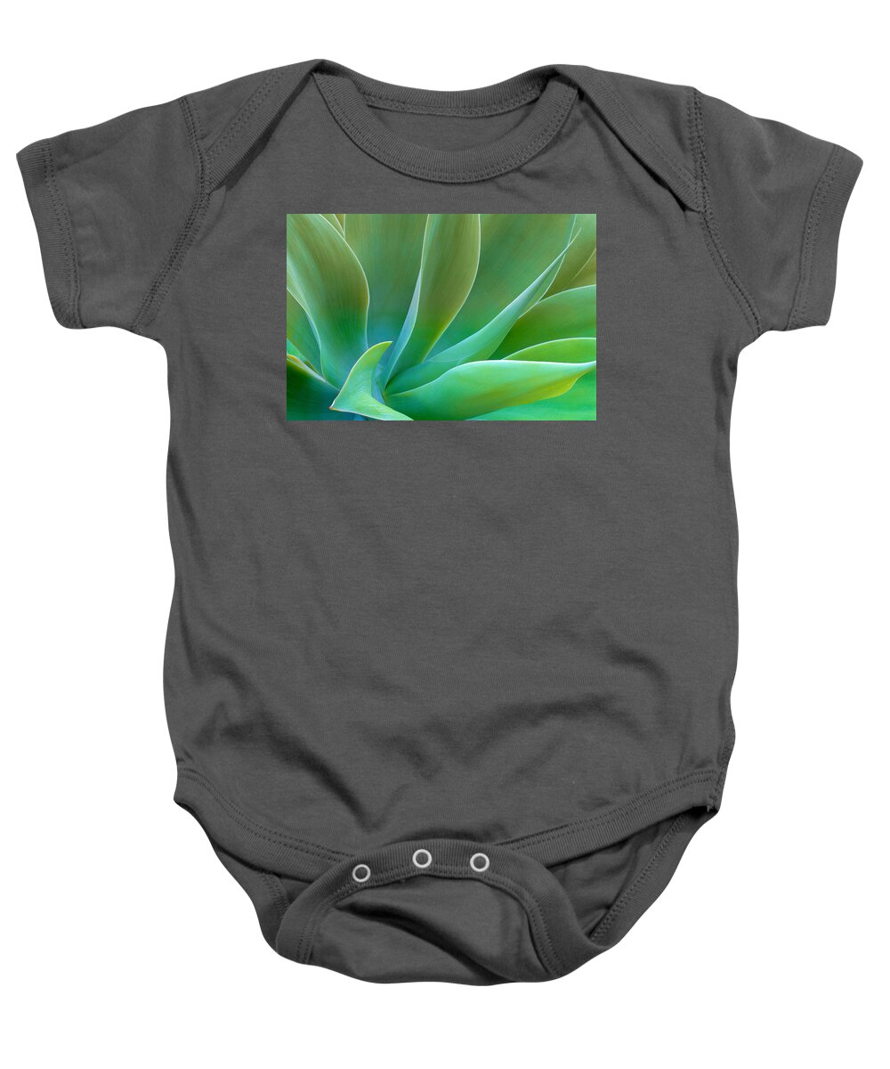 Agave Baby Onesie featuring the photograph Gentle Curves of Agave attenuata by Ram Vasudev