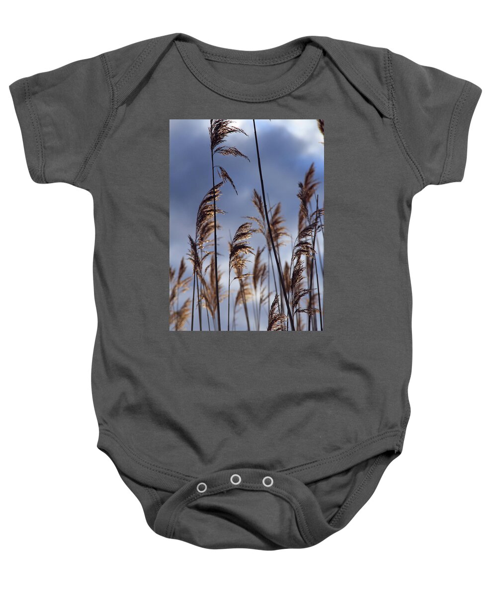 Nature Baby Onesie featuring the photograph Glowing by Becca Wilcox