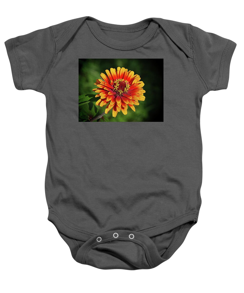 Gold And Orange Zinnia Baby Onesie featuring the photograph Going for the Gold by Karen McKenzie McAdoo