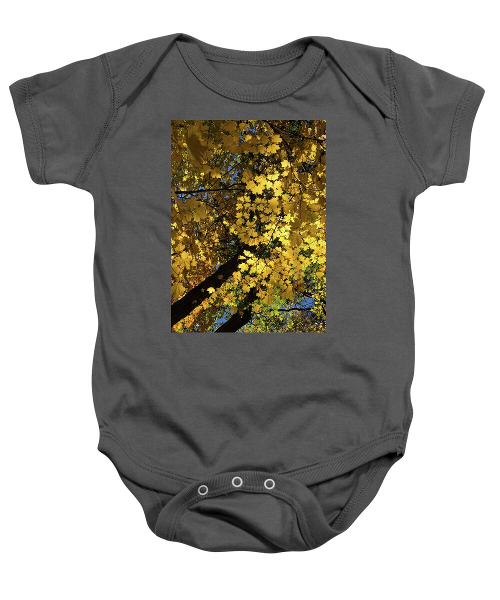 Golden Canopy Baby Onesie featuring the photograph Golden Canopy - Look Up to the Trees and Enjoy Autumn - Vertical Left by Georgia Mizuleva