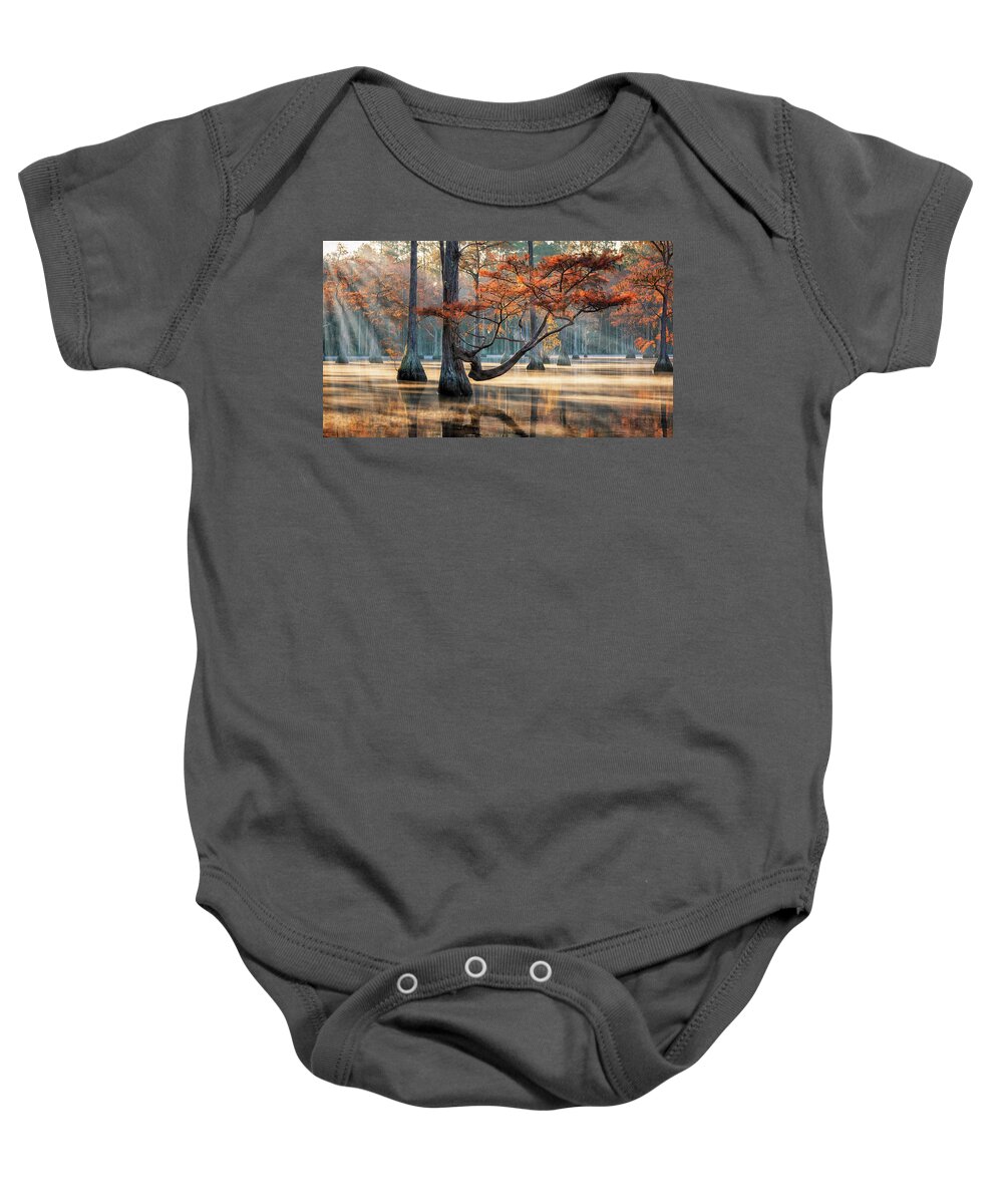 Abstract Baby Onesie featuring the photograph Golden Light at Cypress Swamp by Alex Mironyuk