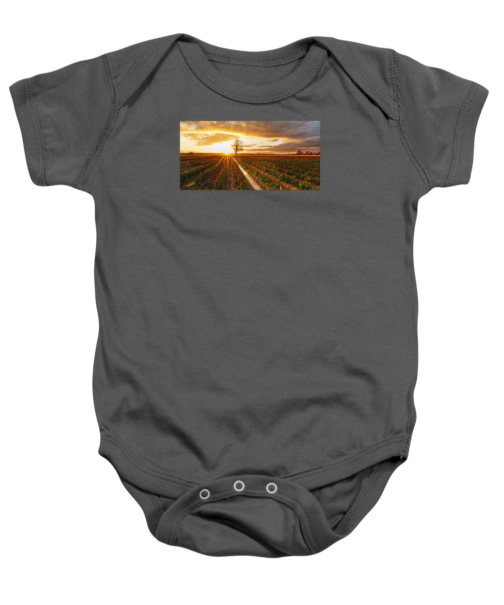 Tulip Fields Baby Onesie featuring the photograph Golden Skagit Valley Sunset by Mike Reid
