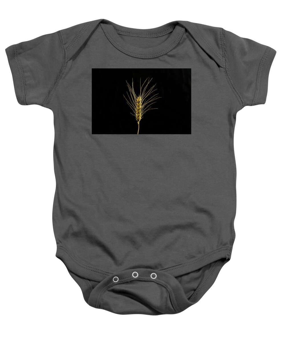 Wheat Baby Onesie featuring the photograph Golden Wheat by Wolfgang Stocker