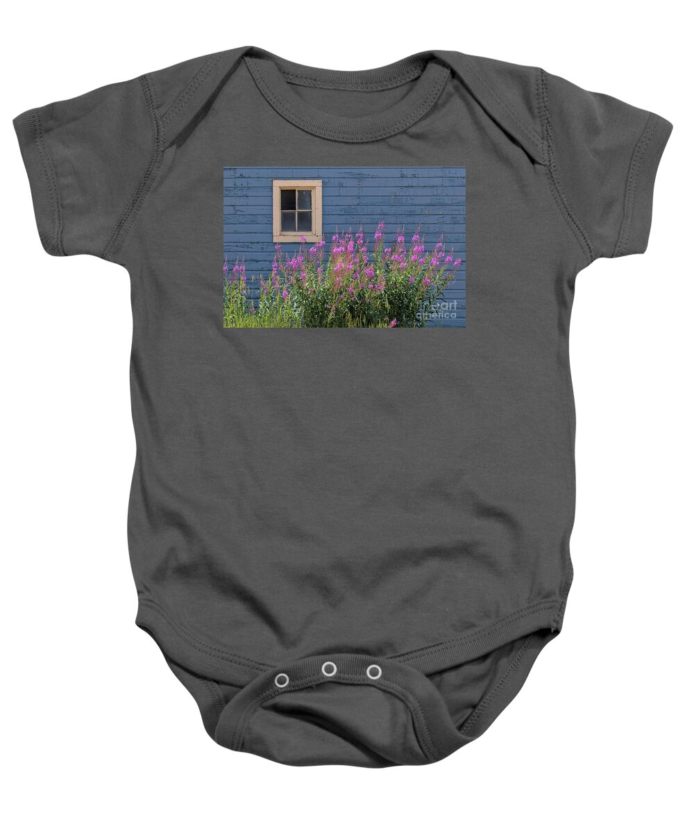 Fireweed Baby Onesie featuring the photograph Gone Missing by Jim Garrison