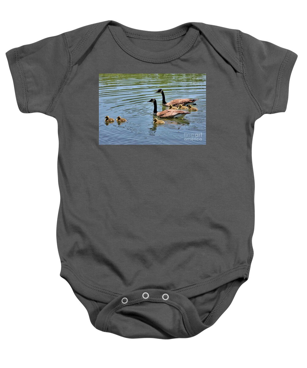Branta Canadensis Baby Onesie featuring the photograph Goslings Go for a Swim by Carol Groenen