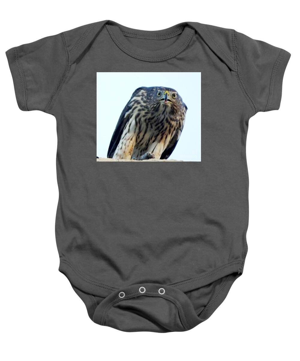 Baby Hawk Baby Onesie featuring the painting Got My Eyes on You by Jayne Kerr