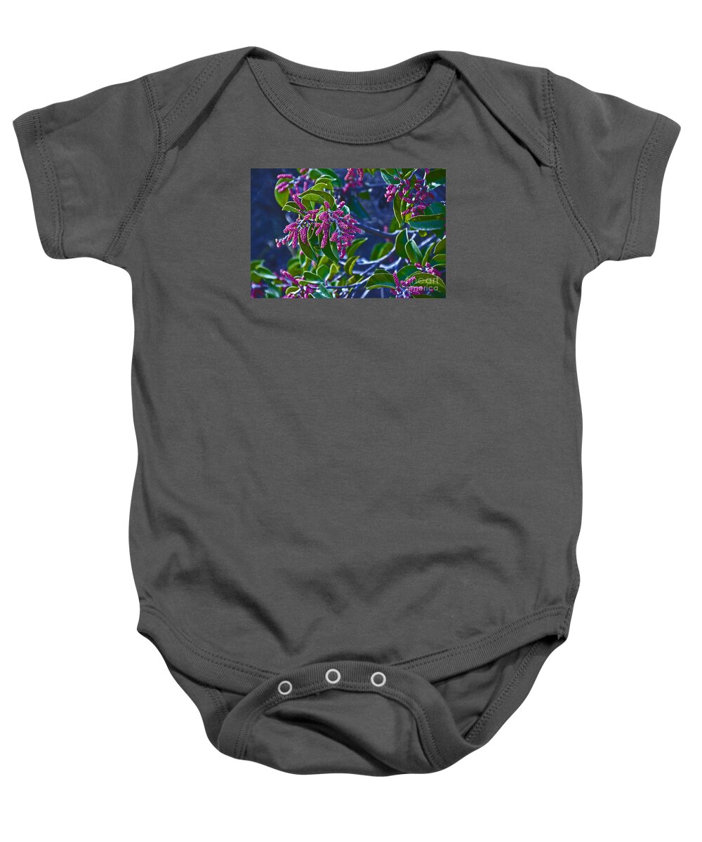  Baby Onesie featuring the photograph Grape Flowers by David Frederick