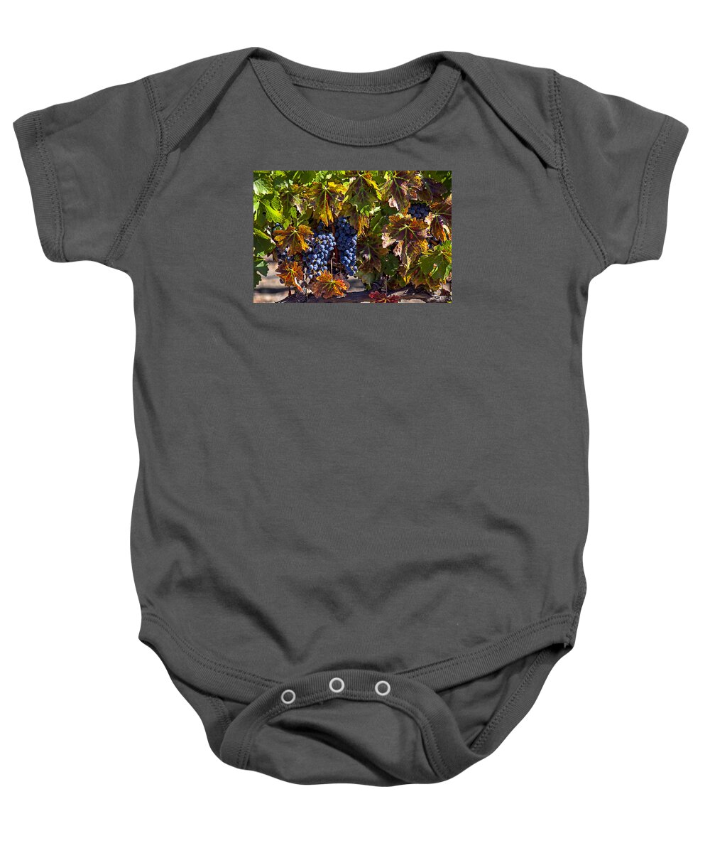 Grapes Baby Onesie featuring the photograph Grapes of the Napa Valley by Garry Gay