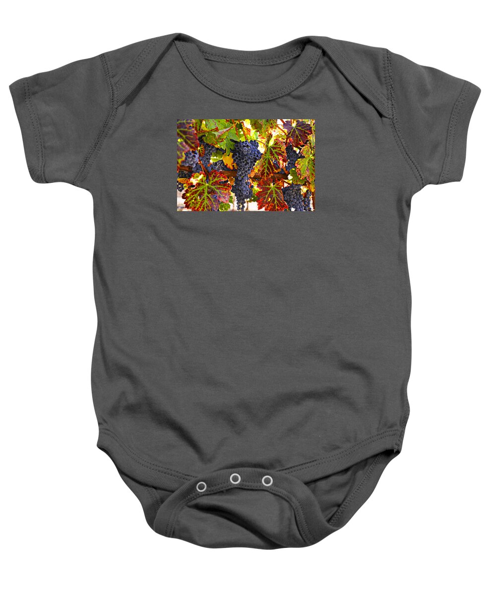 Grapes Baby Onesie featuring the photograph Grapes on vine in vineyards by Garry Gay