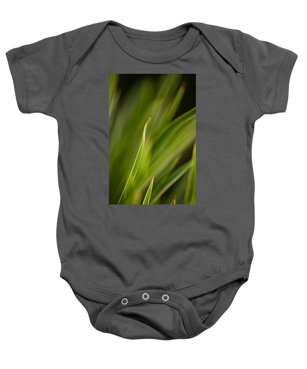 Grass Baby Onesie featuring the photograph Grass Abstract 2 by Mike Reid