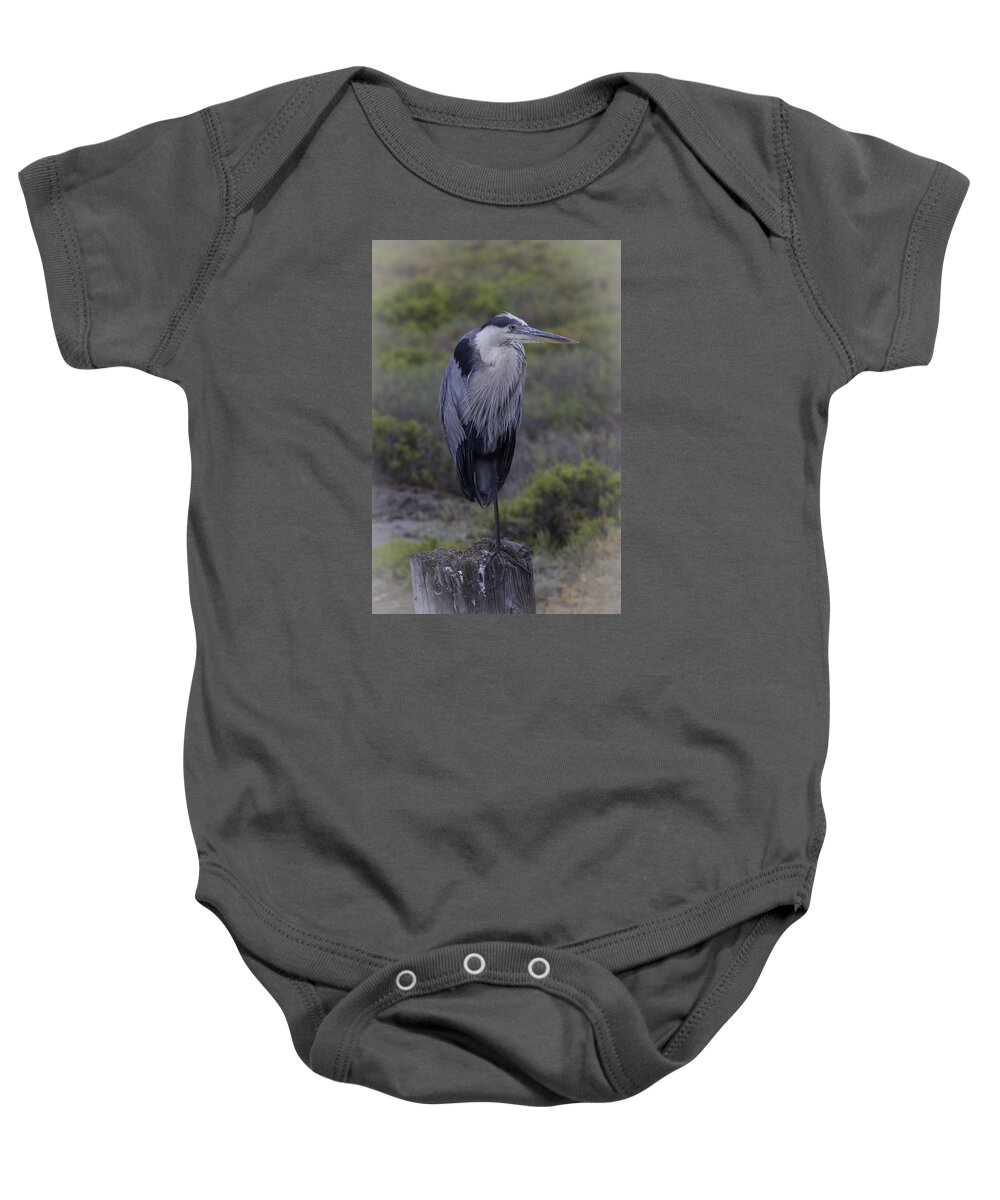 Great Blue Heron Baby Onesie featuring the photograph Great Blue Heron by Dusty Wynne