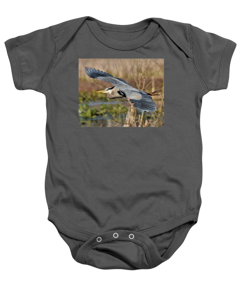 Great Blue Heron Baby Onesie featuring the photograph Great Blue Heron Photo Pass by Chip Gilbert