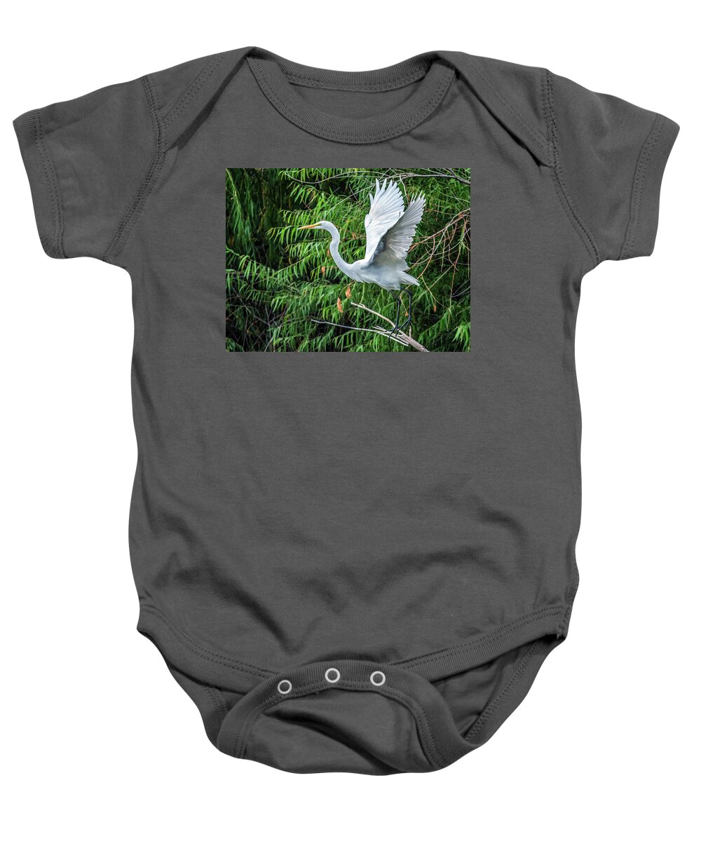 Great Baby Onesie featuring the photograph Great Egret 7033-092116-2cr by Tam Ryan