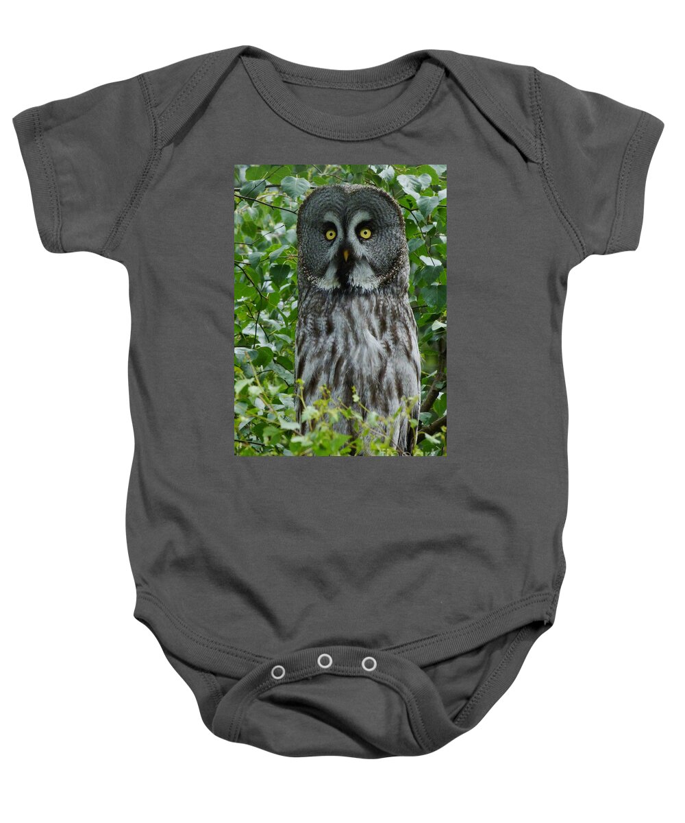 Great Grey Owl Baby Onesie featuring the photograph Great Grey Owl - Surprised by Phil Banks