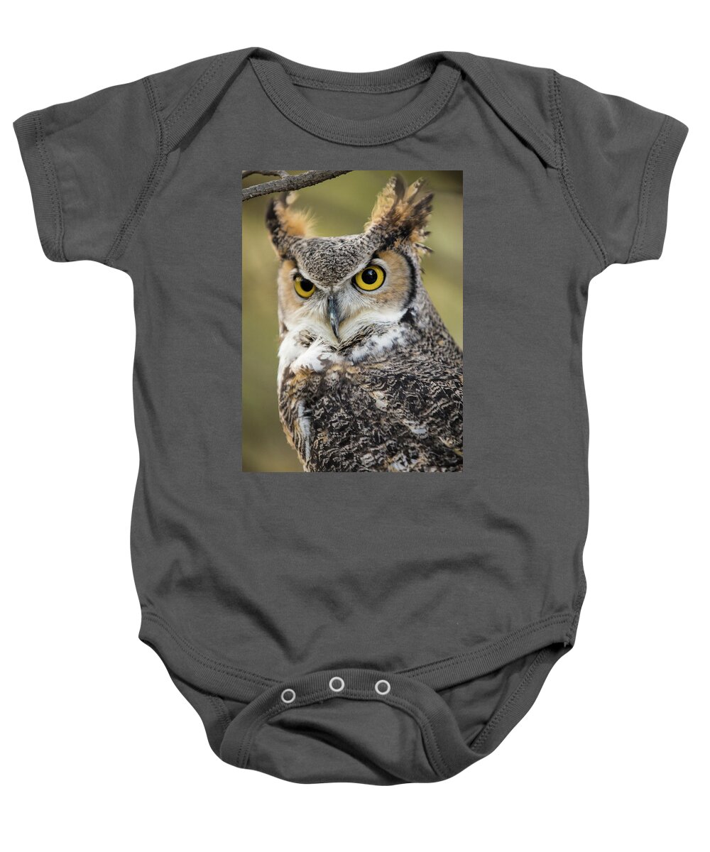 Owl Baby Onesie featuring the photograph Great Horned Owl by Wesley Aston