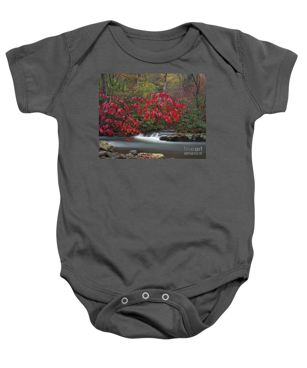 Great Smoky Mountains National Park Baby Onesie featuring the photograph Great Smoky Mountains NP, North Carolina by Kevin Shields