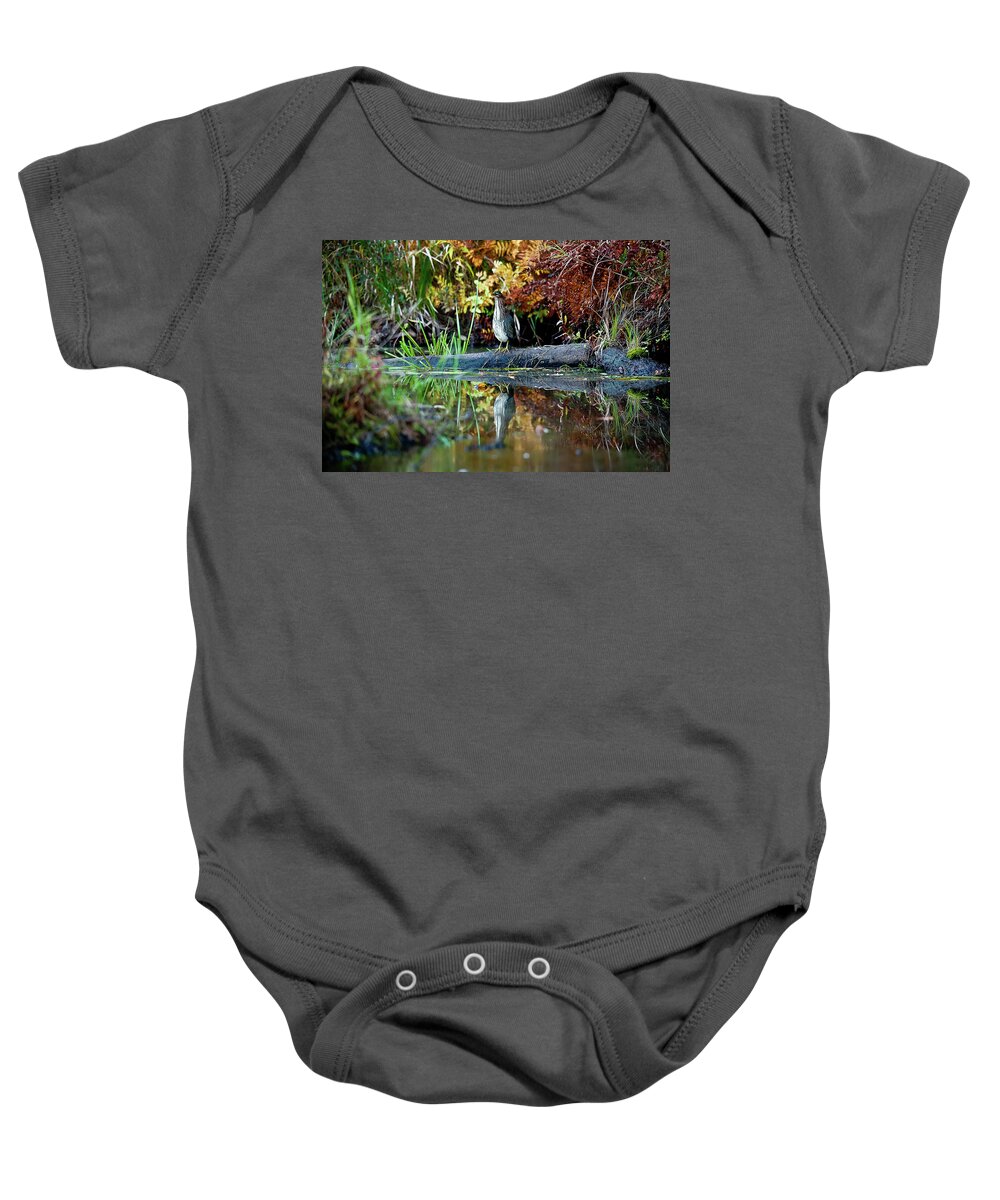 Fall Baby Onesie featuring the photograph Green Heron by Benjamin Dahl