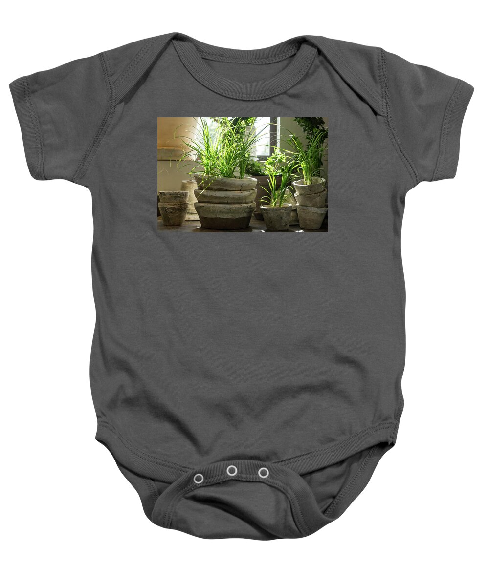Plant Baby Onesie featuring the photograph Green plants in old clay pots by GoodMood Art