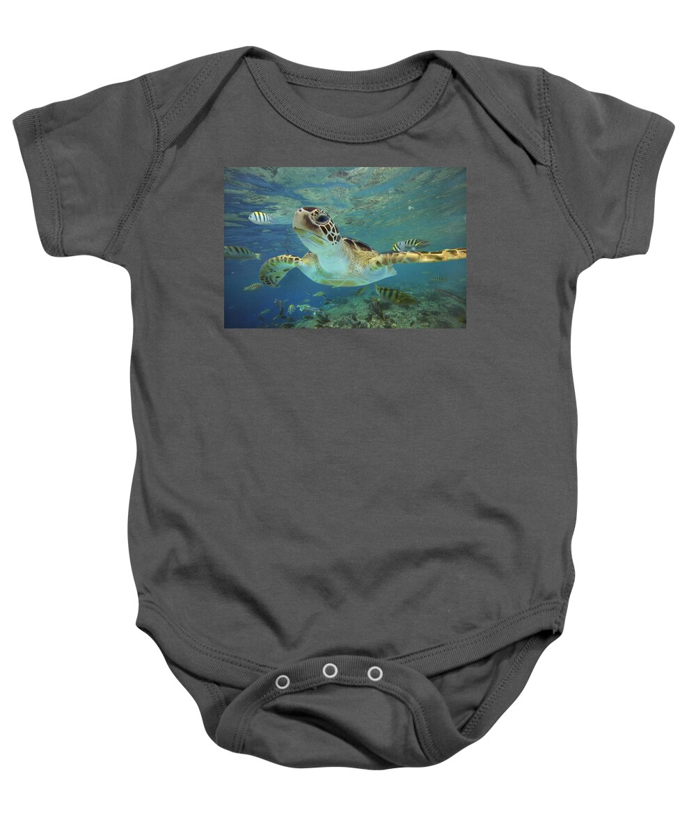 00451418 Baby Onesie featuring the photograph Green Sea Turtle Swimming by Tim Fitzharris