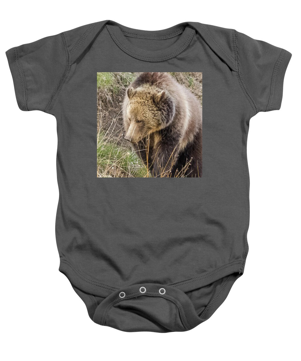 Raspberry Baby Onesie featuring the photograph Grizzly Mama by Yeates Photography