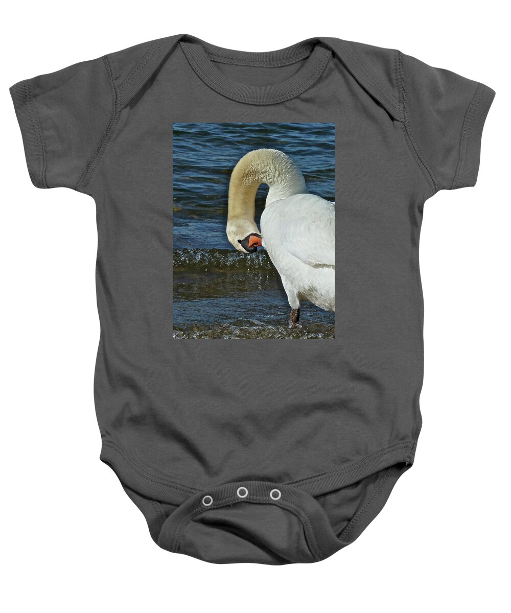 Birds Baby Onesie featuring the photograph Grooming by Diana Hatcher