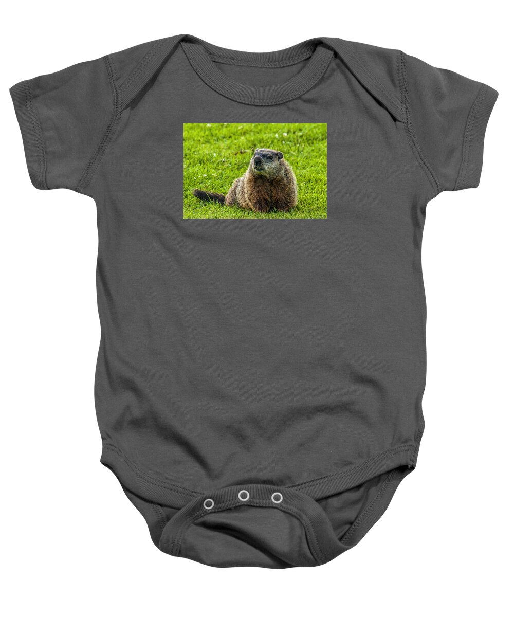 Mammal Baby Onesie featuring the photograph Ground Hog by Cathy Kovarik