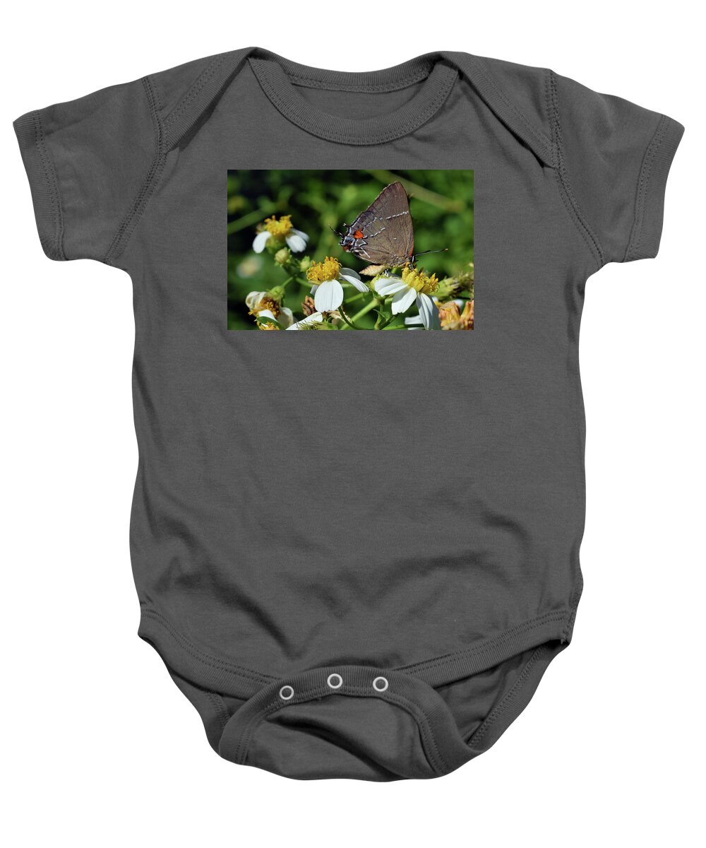 Photograph Baby Onesie featuring the photograph Hairstreak Butterfly by Larah McElroy