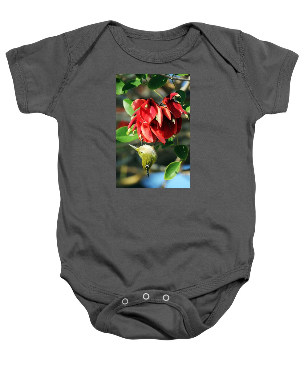 Hanging Japanese Baby Onesie featuring the photograph Hanging Japanese by Jennifer Robin