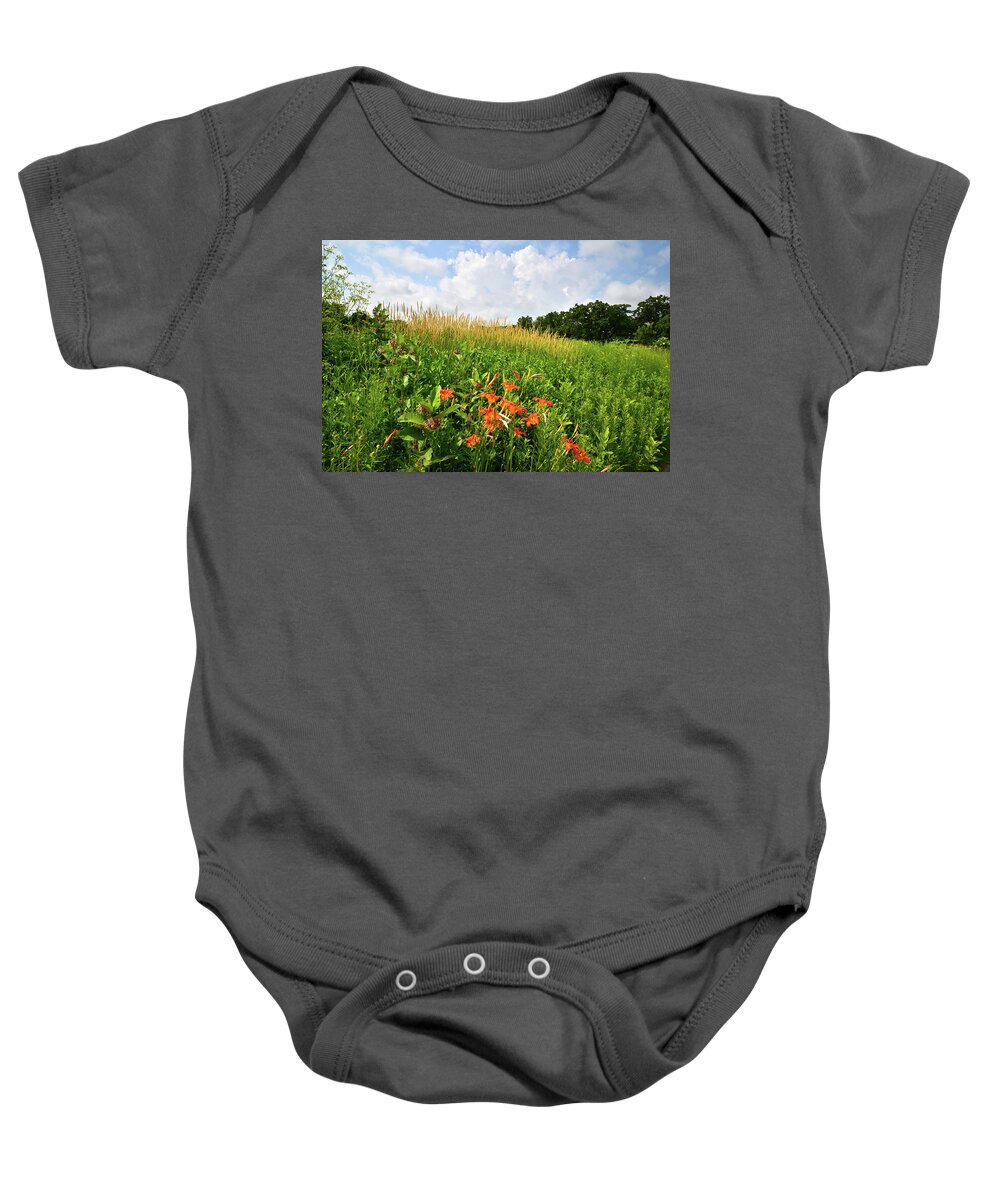 Black Eyed Susan Baby Onesie featuring the photograph Happy Valley by Ray Mathis
