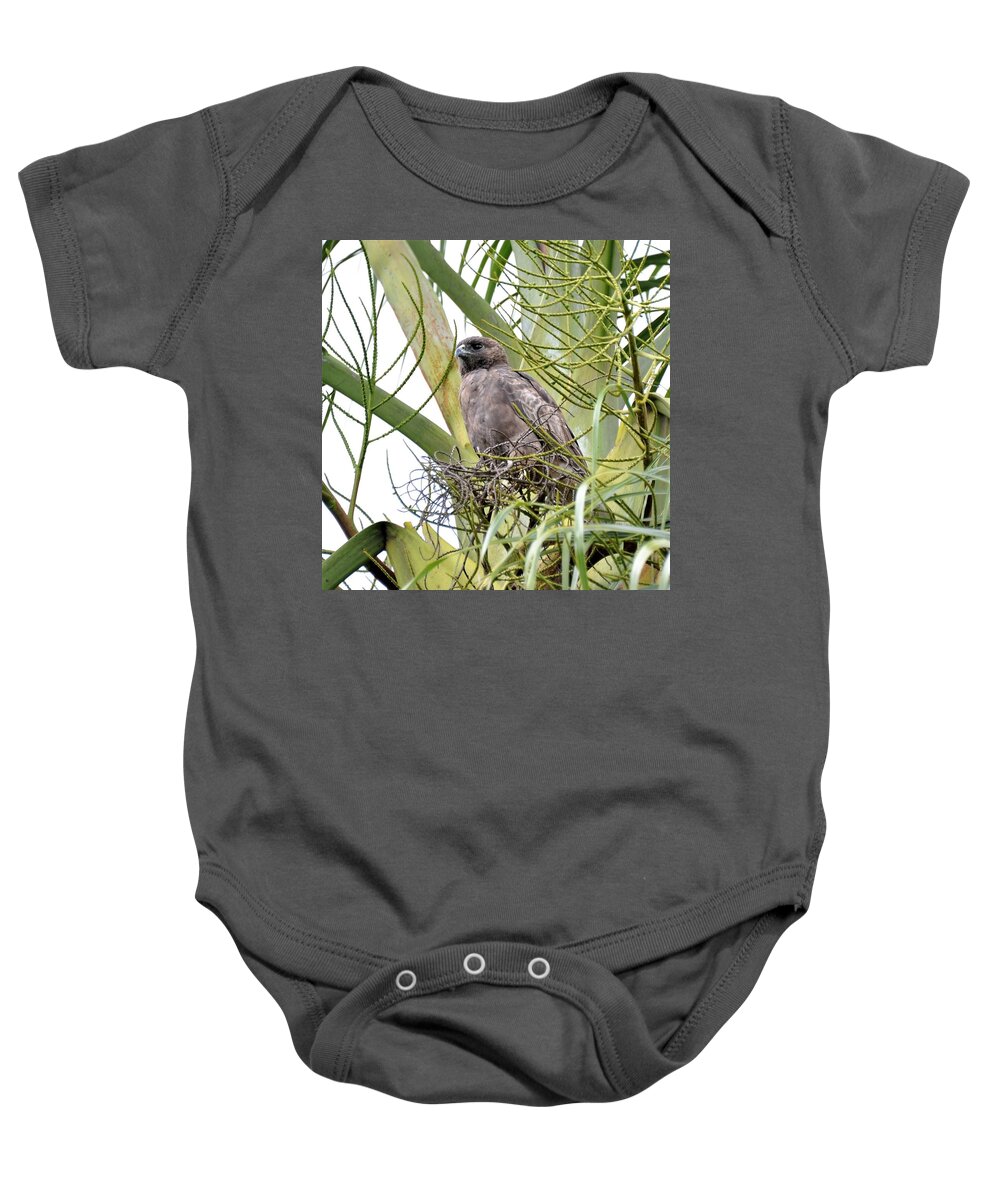 Hawaiian Io Baby Onesie featuring the photograph Hawaiian Io by Heidi Fickinger