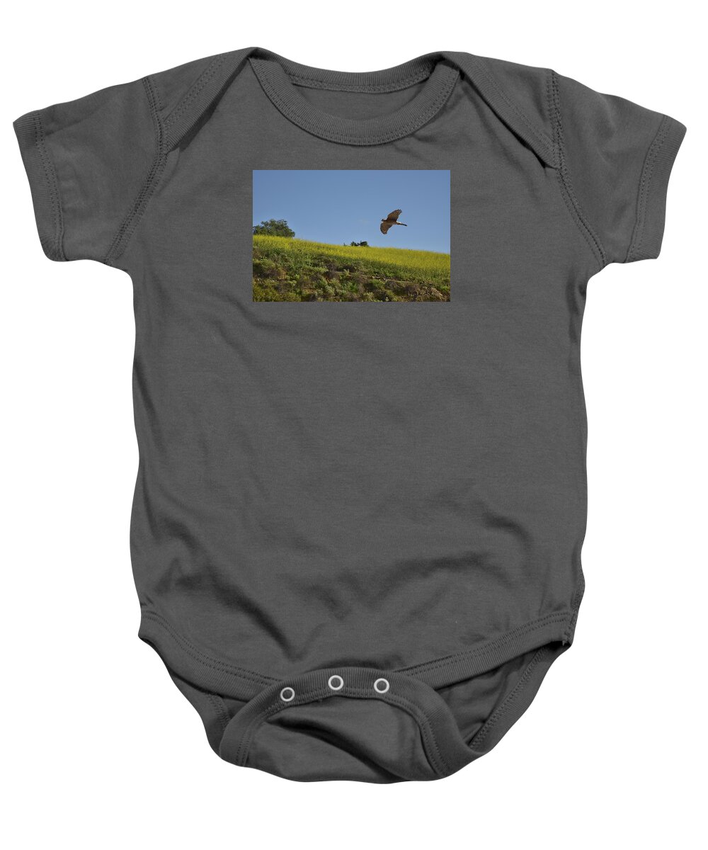 Linda Brody Baby Onesie featuring the photograph Hawk Flying over Field of Yellow Mustard by Linda Brody