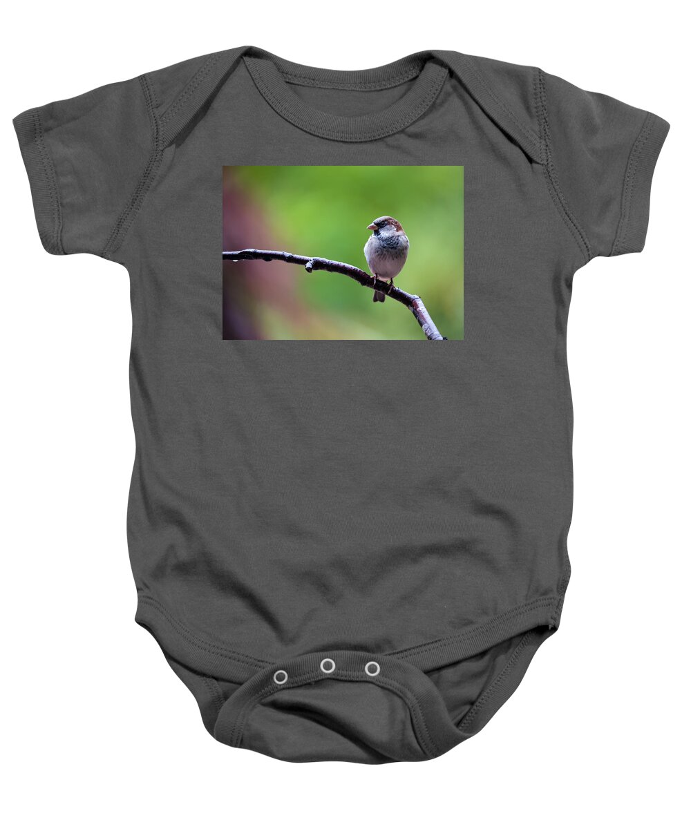 Canada Baby Onesie featuring the photograph Head of the Flock by Paul W Sharpe Aka Wizard of Wonders