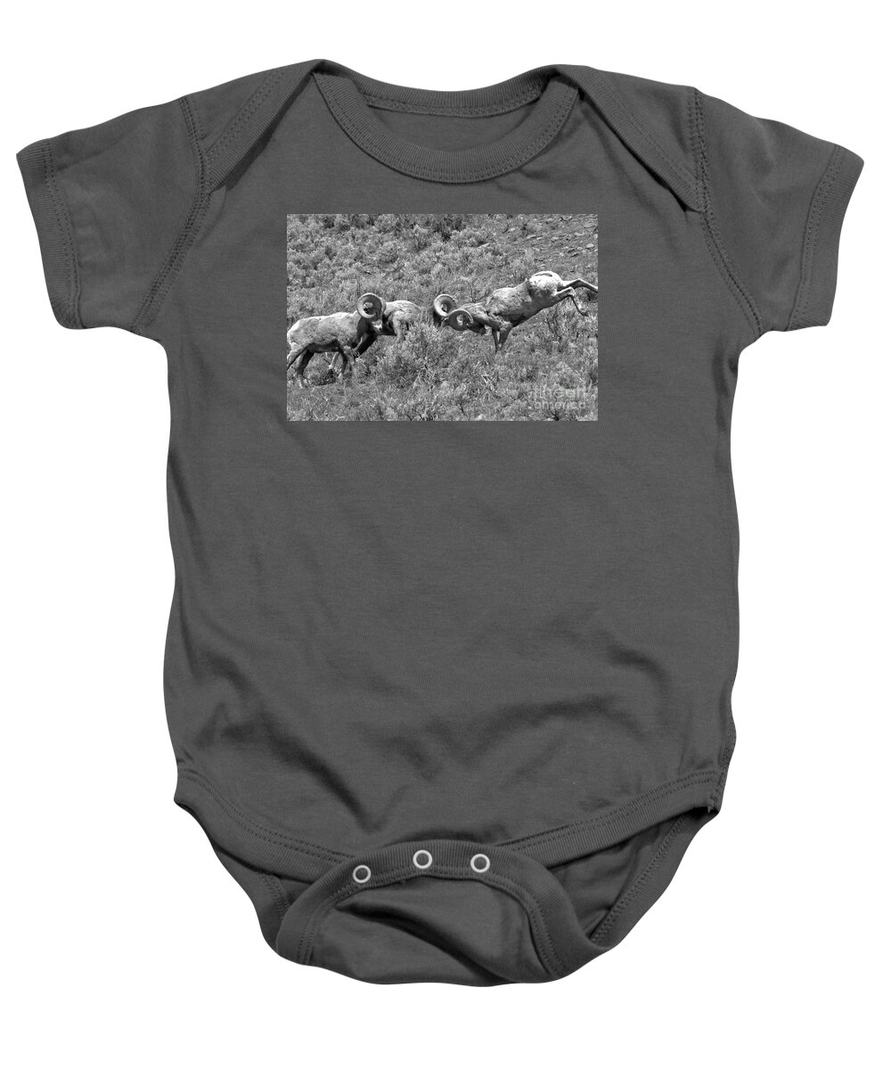 Bighorn Baby Onesie featuring the photograph Head To Head At Yellowstone 2018 Black And White by Adam Jewell