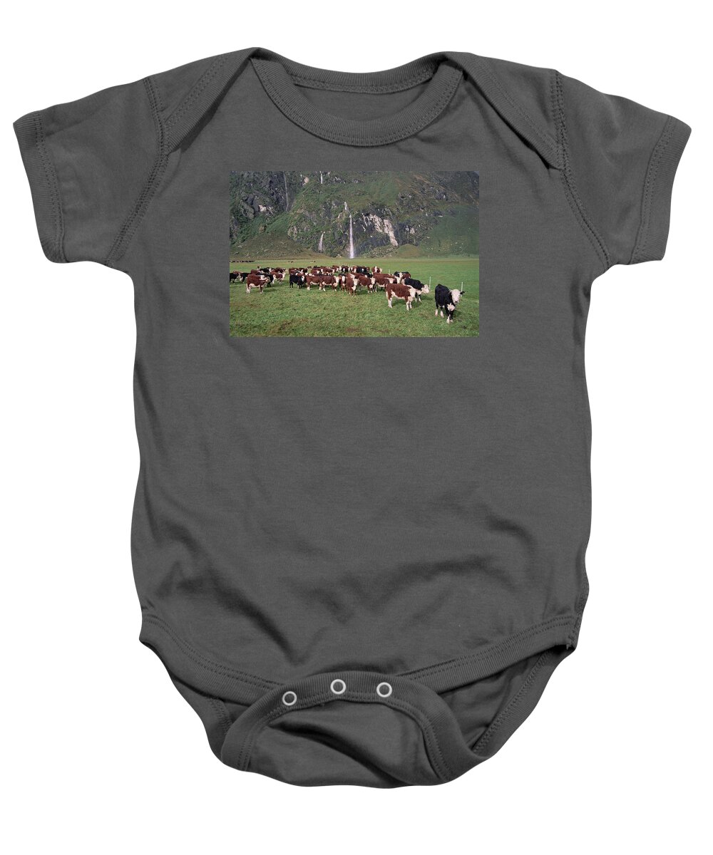 00142065 Baby Onesie featuring the photograph Hereford Herd Central Otago by Tui De Roy