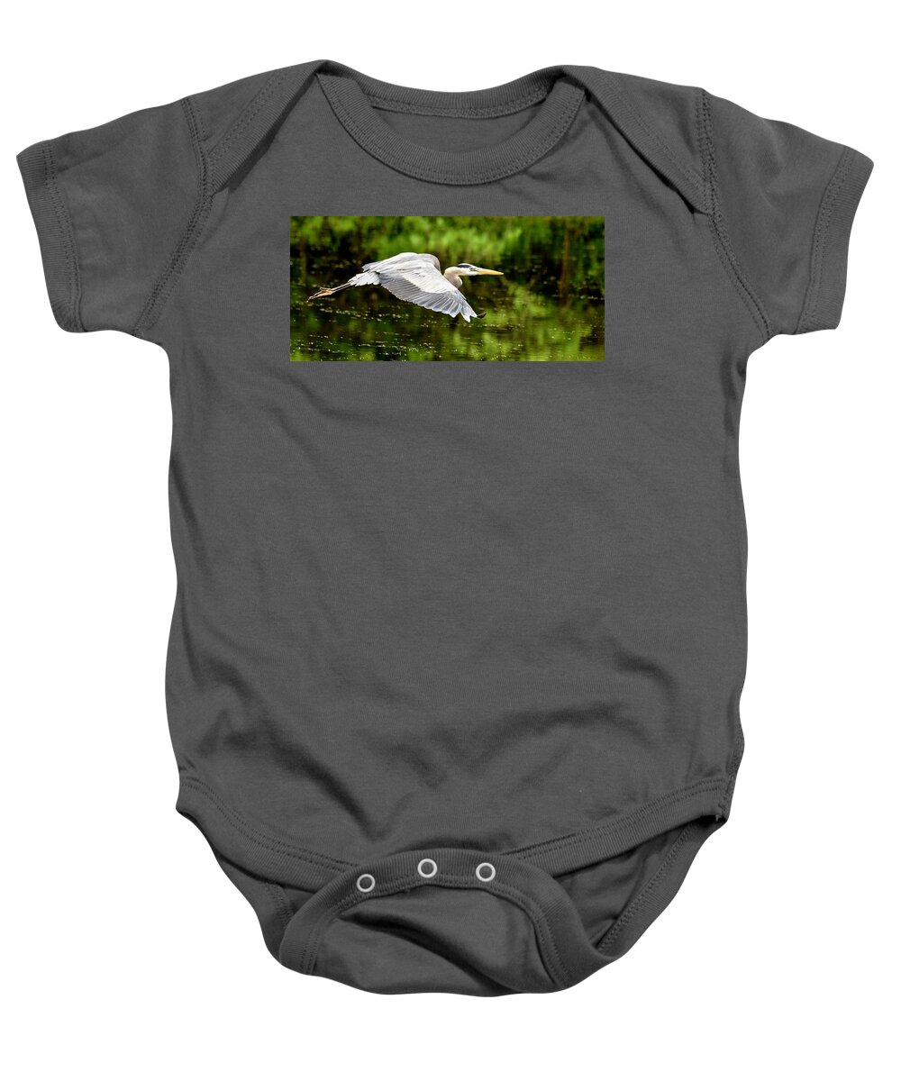 Wall Art Baby Onesie featuring the photograph Heron In Flight by Jeffrey PERKINS