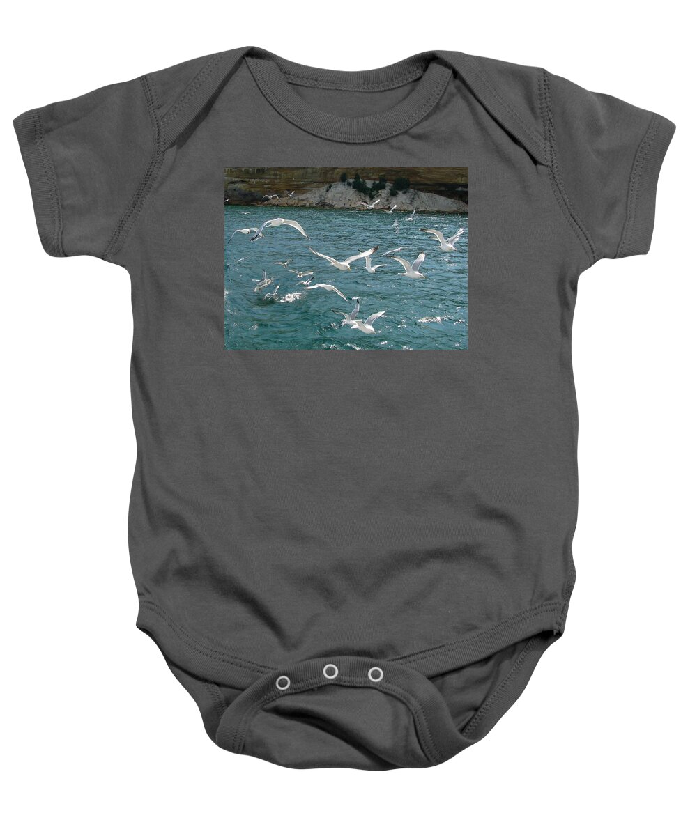 Pictured Rocks National Lakeshore Baby Onesie featuring the photograph Herring Gulls at Pictured Rocks by Keith Stokes