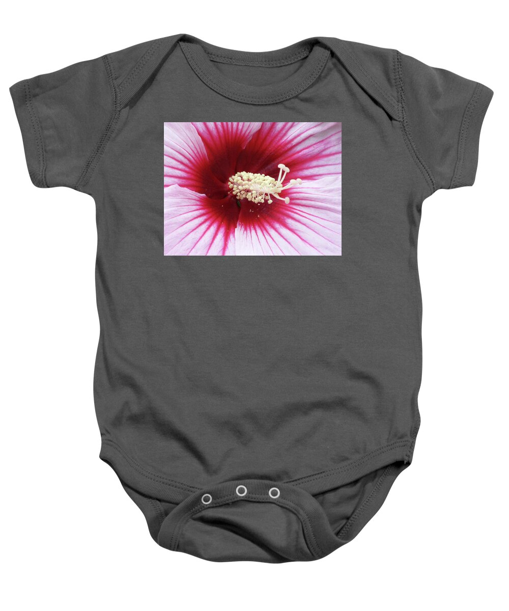Hibiscus Baby Onesie featuring the photograph Hibiscus - Summerific Summer Storm 02 by Pamela Critchlow