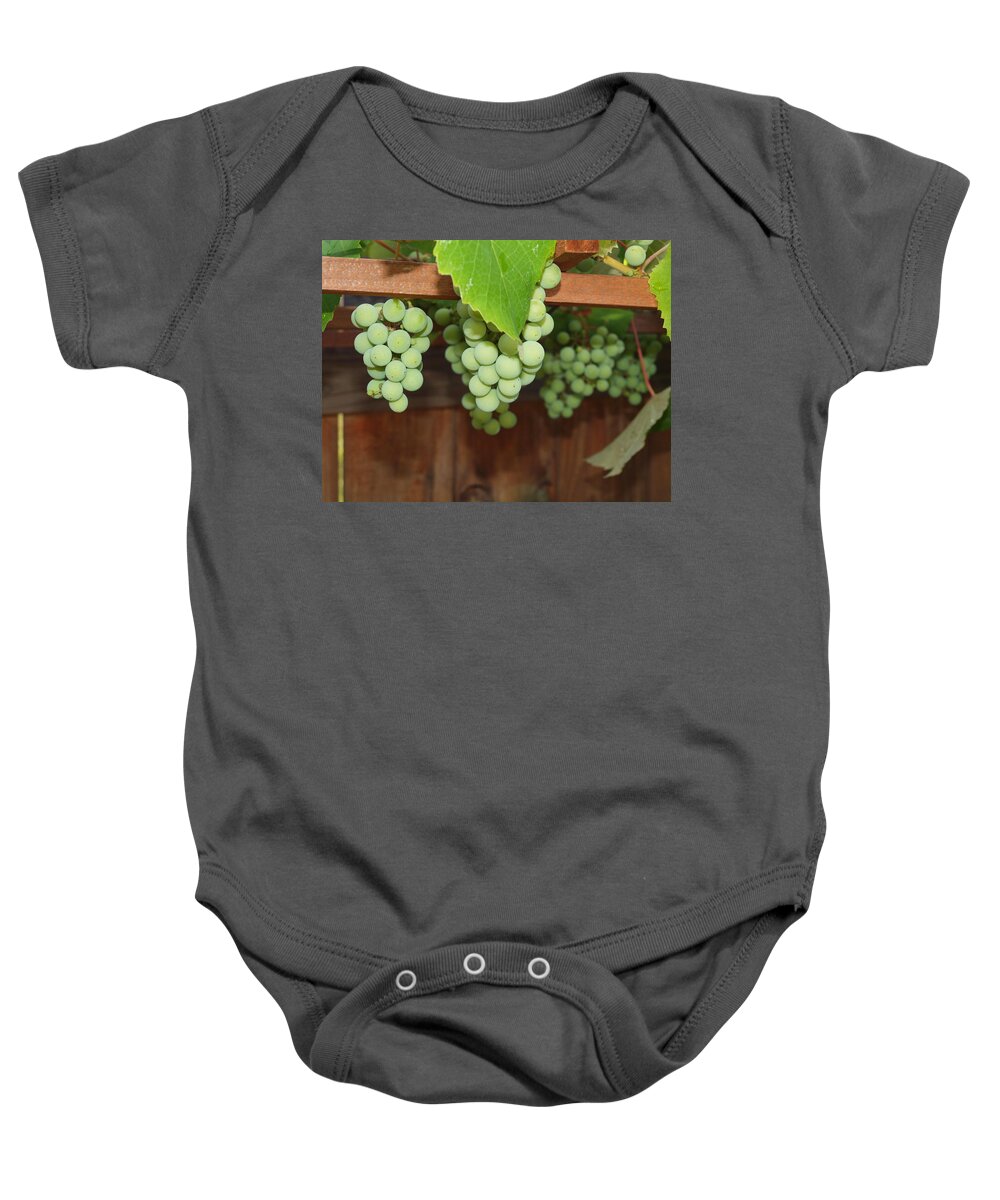 Grapes Baby Onesie featuring the photograph Hiding Behind The Leaves by Robert Margetts