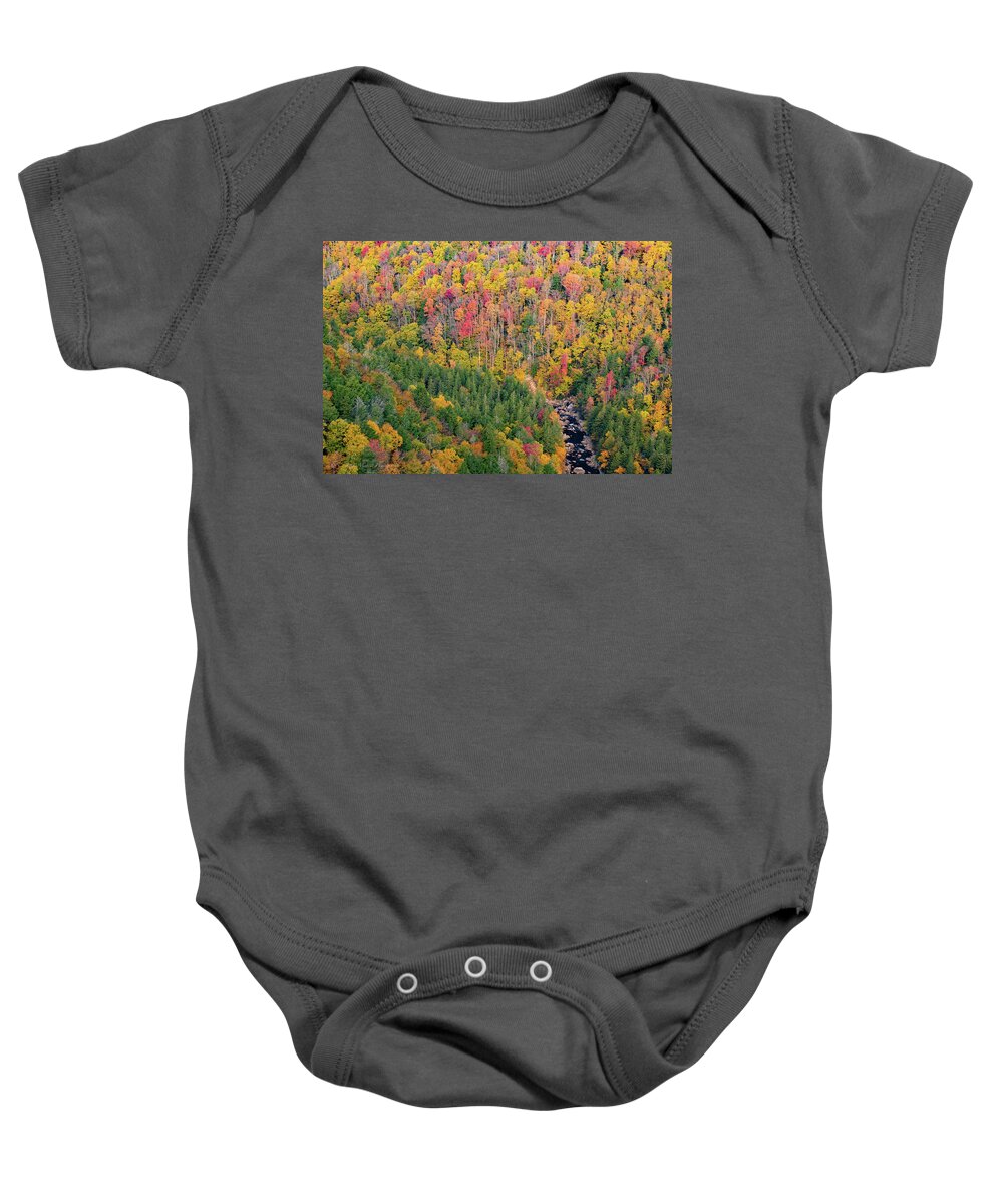 Blackwater Falls State Park Baby Onesie featuring the photograph High on Autumn by C Renee Martin