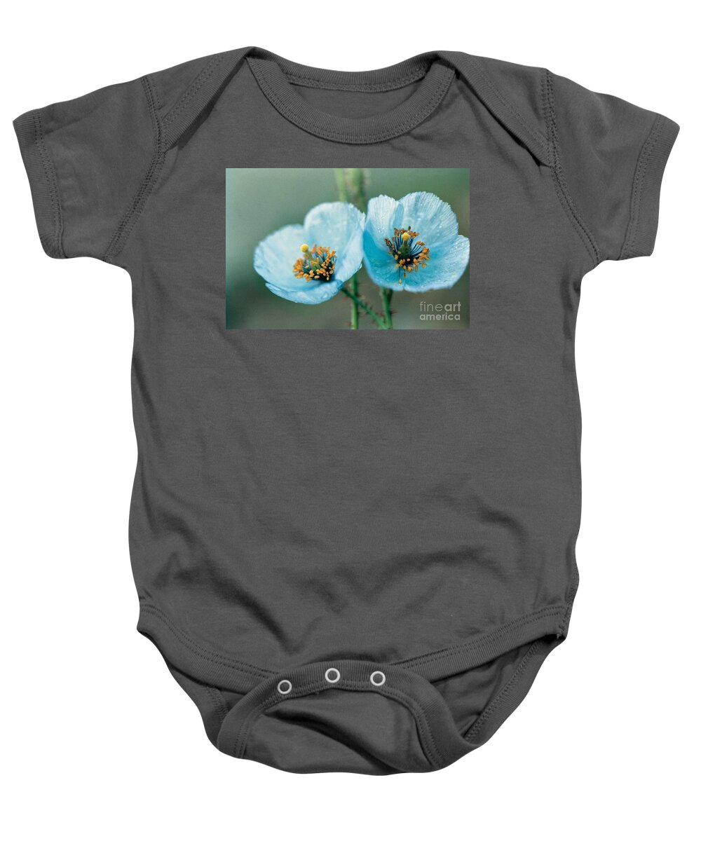 Himalayan Blue Poppy Baby Onesie featuring the photograph Himalayan Blue Poppy by American School