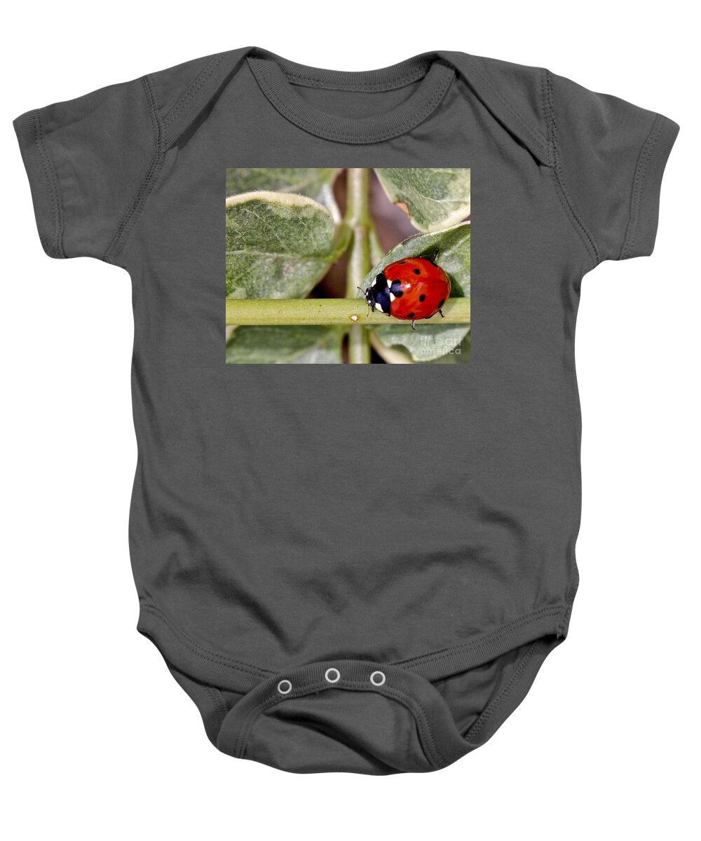 Ladybug Baby Onesie featuring the photograph Holding Balance No Problem by Elisabeth Derichs