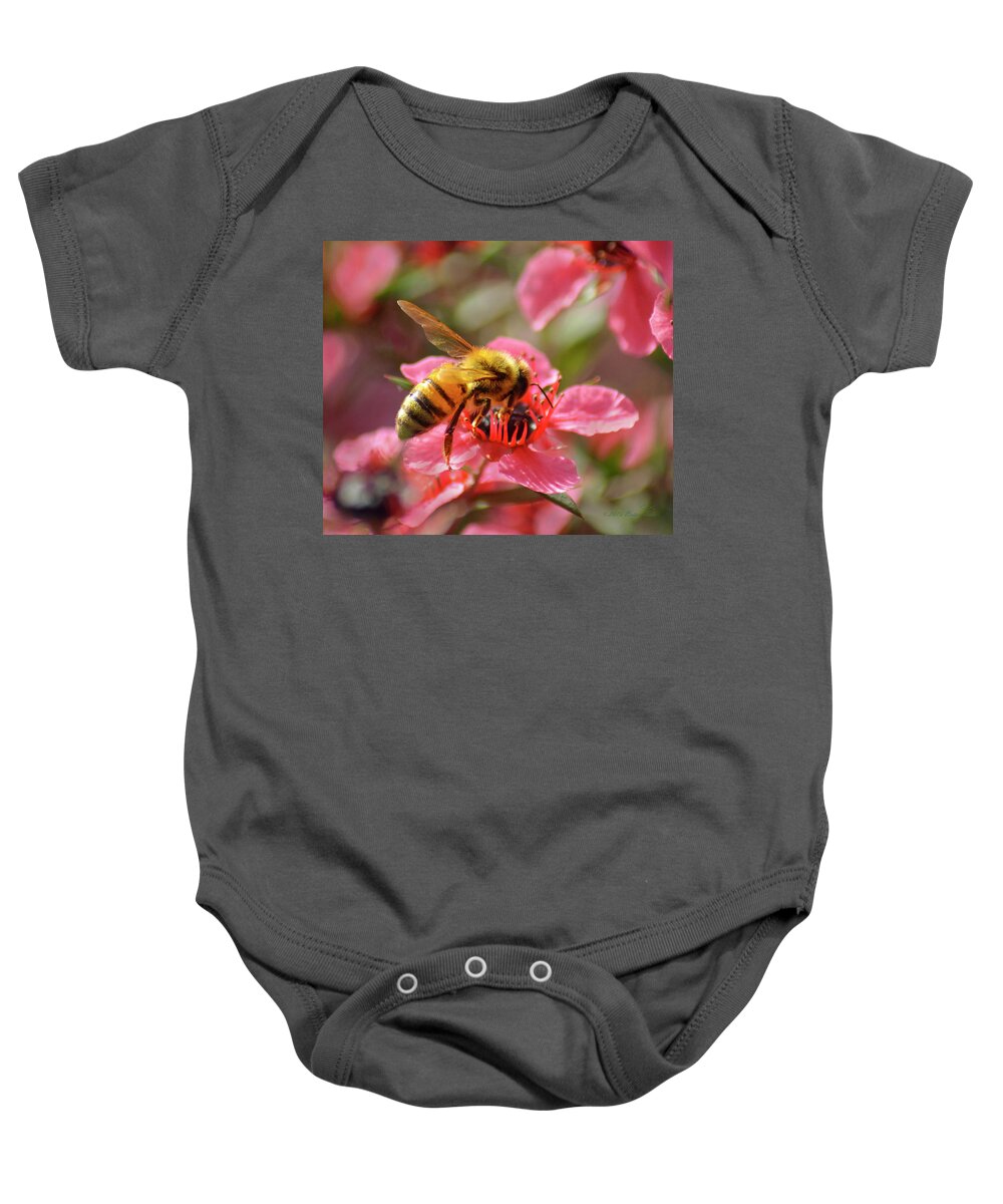 Bee Baby Onesie featuring the photograph Honeybee on Tea Tree Blossom by Brian Tada