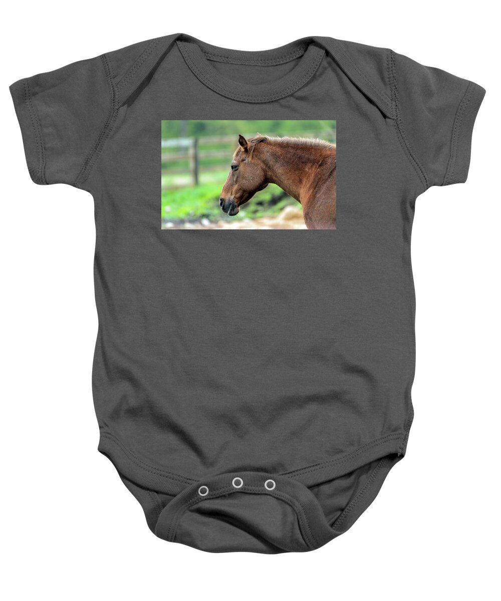 Horse Baby Onesie featuring the photograph Horse Portrait by Sam Rino