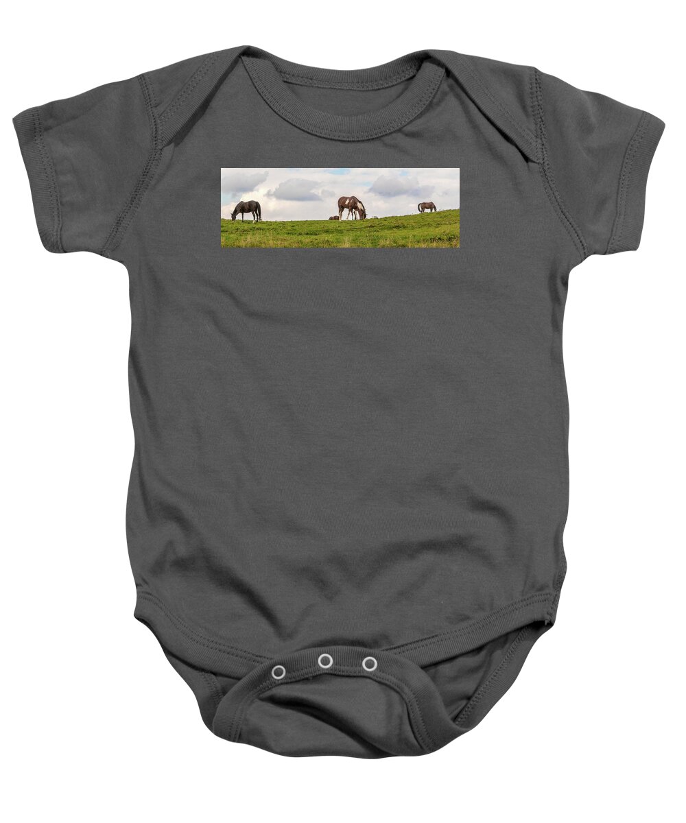 Horses Baby Onesie featuring the photograph Horses and Clouds by D K Wall