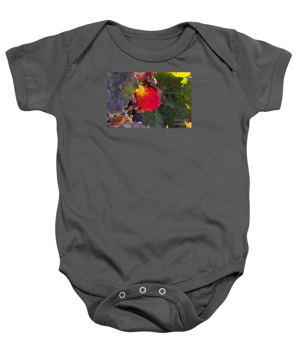 Autumn Baby Onesie featuring the photograph Hot autumn colors in the vineyard by Arik Baltinester