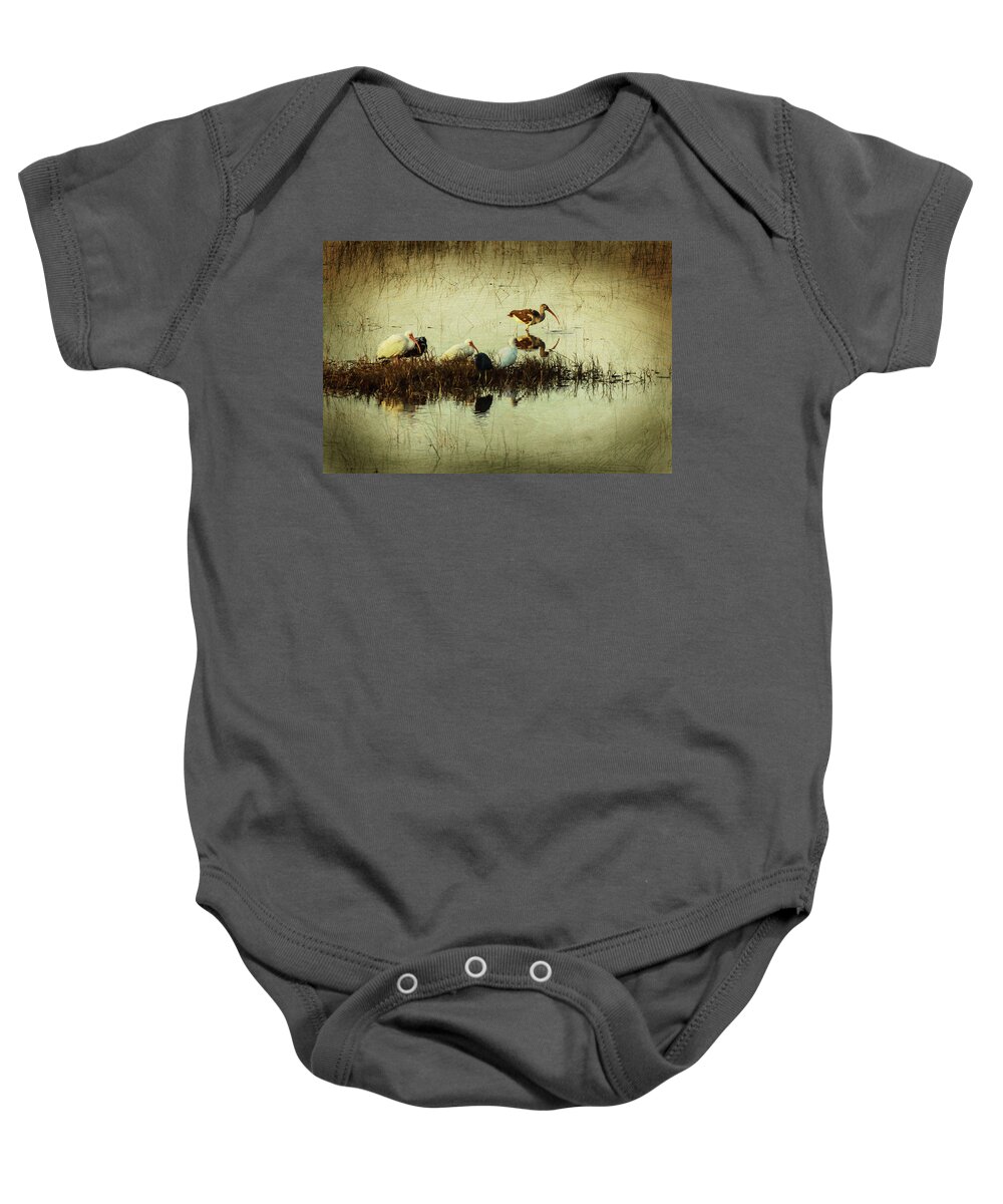 Birds Baby Onesie featuring the photograph Ibis at Sunset in the Everglades by George Kenhan