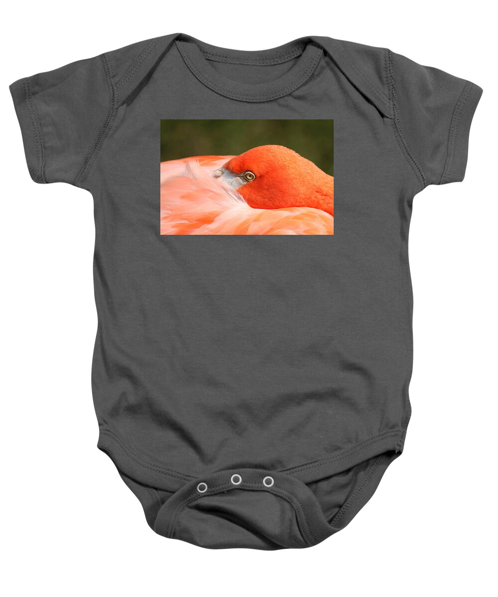 Birds Baby Onesie featuring the photograph I'm watching you too by Thomas Pipia