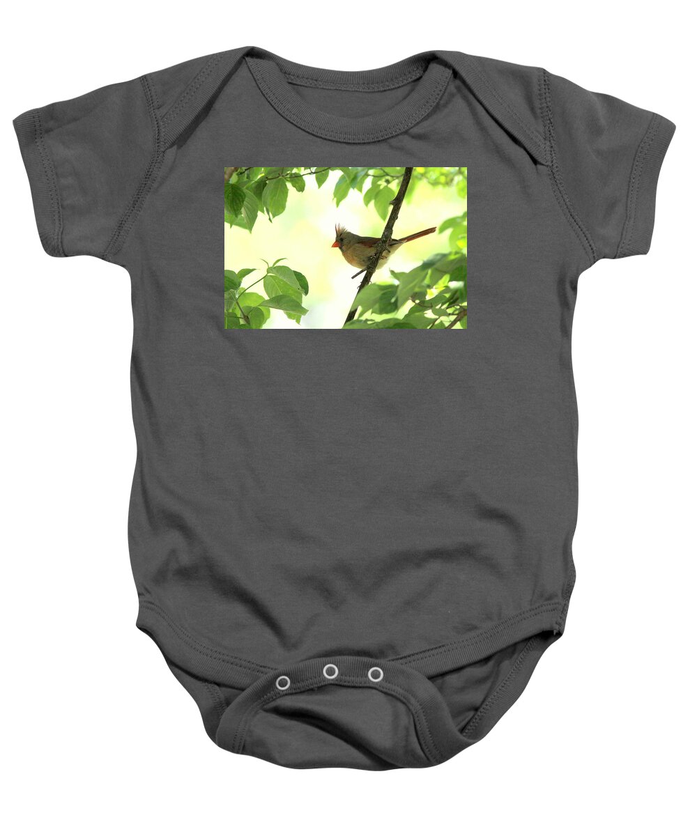 Northern Cardinal Baby Onesie featuring the photograph IMG_6587 - Northern Cardinal by Travis Truelove