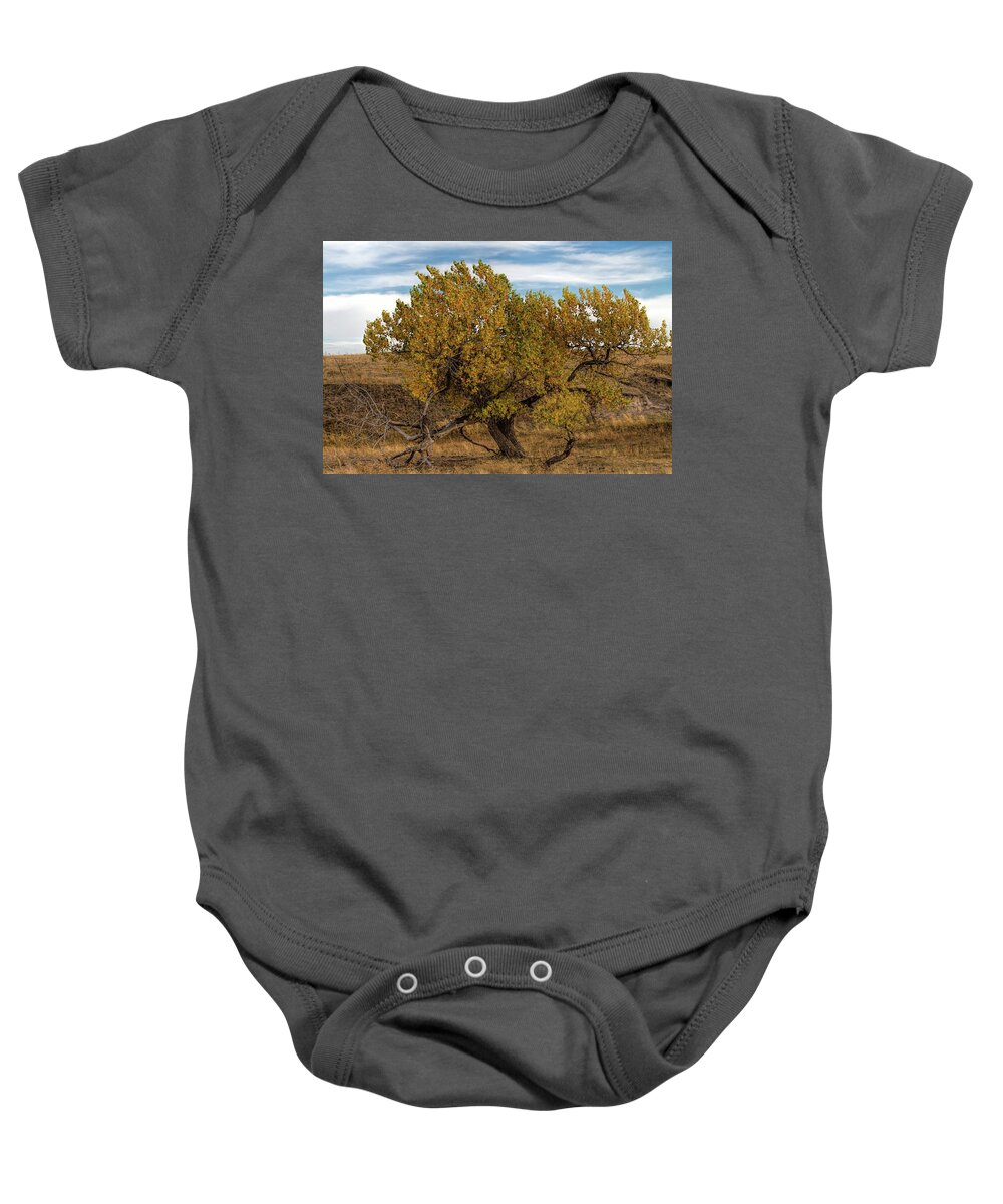 Tree Baby Onesie featuring the photograph In Autumn's Glory by Alana Thrower